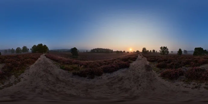Westruper Heide (Sonnenaufgang)