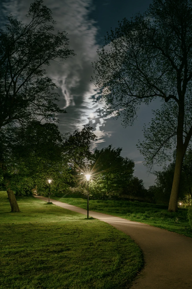 Abendstimmung im Düsseldorfer Hofgarten.
