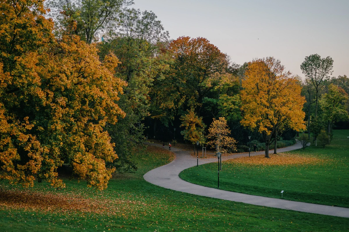 Herbststimmung im Hofgarten in Düsseldorf.
