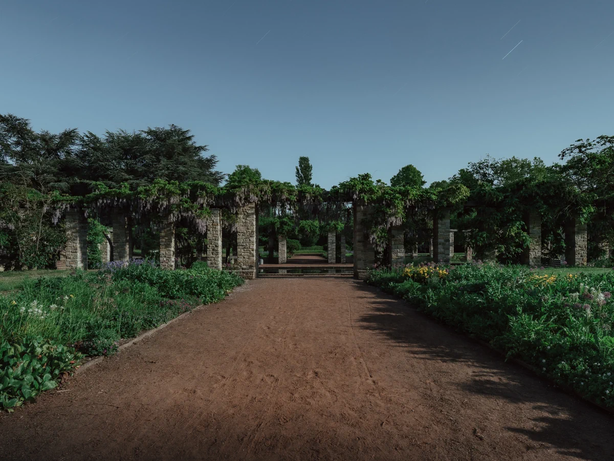 Nachtaufnahme im Nordpark mit dem Mond als Lichtquelle.